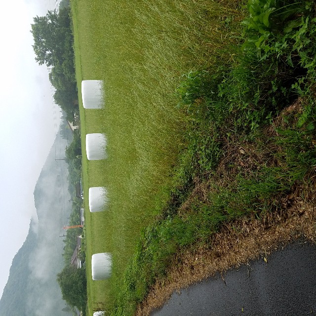 f:id:makt_riders12:20190614221852j:image f:id:makt_riders12:20190614221852j:image