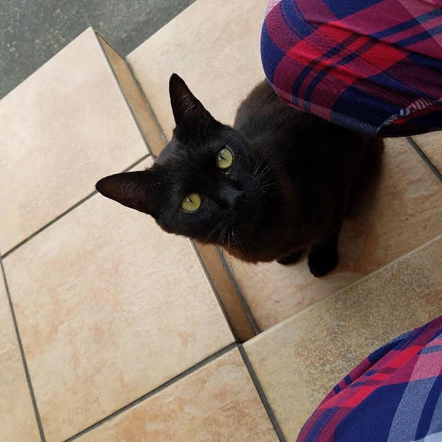 f:id:makt_riders12:20190616200101j:image f:id:makt_riders12:20190616200101j:image