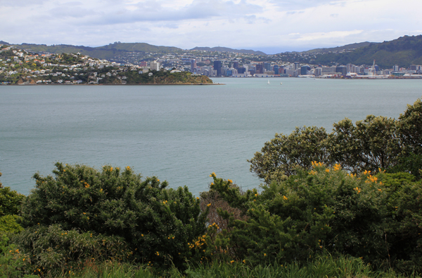 f:id:maktoon:20121119004204j:image f:id:maktoon:20121119004204j:image