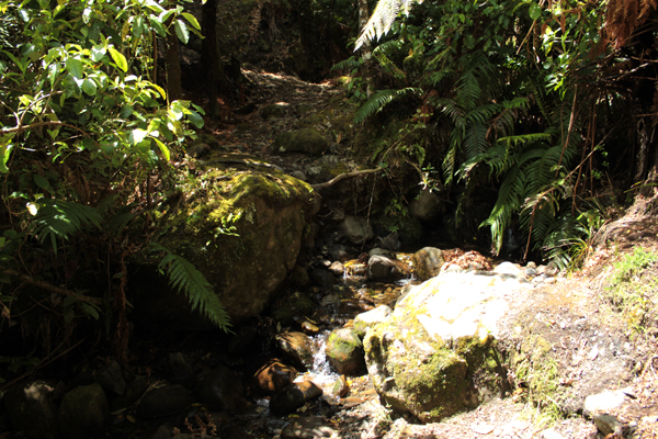 f:id:maktoon:20121126002615j:image f:id:maktoon:20121126002615j:image