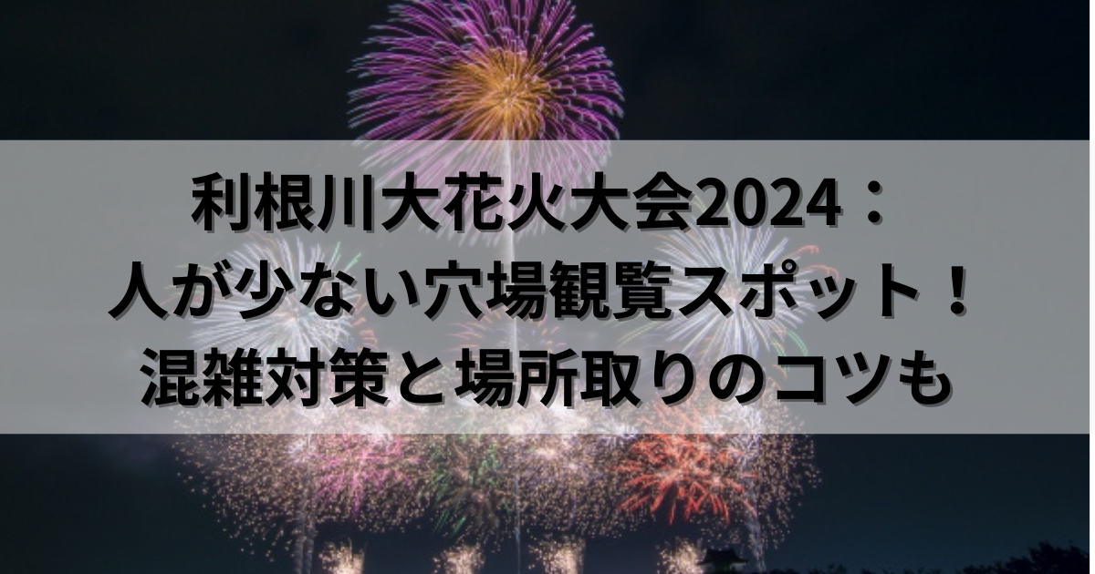 2024利根川花火大会 境側 赤エリア2枚 【公式通販】