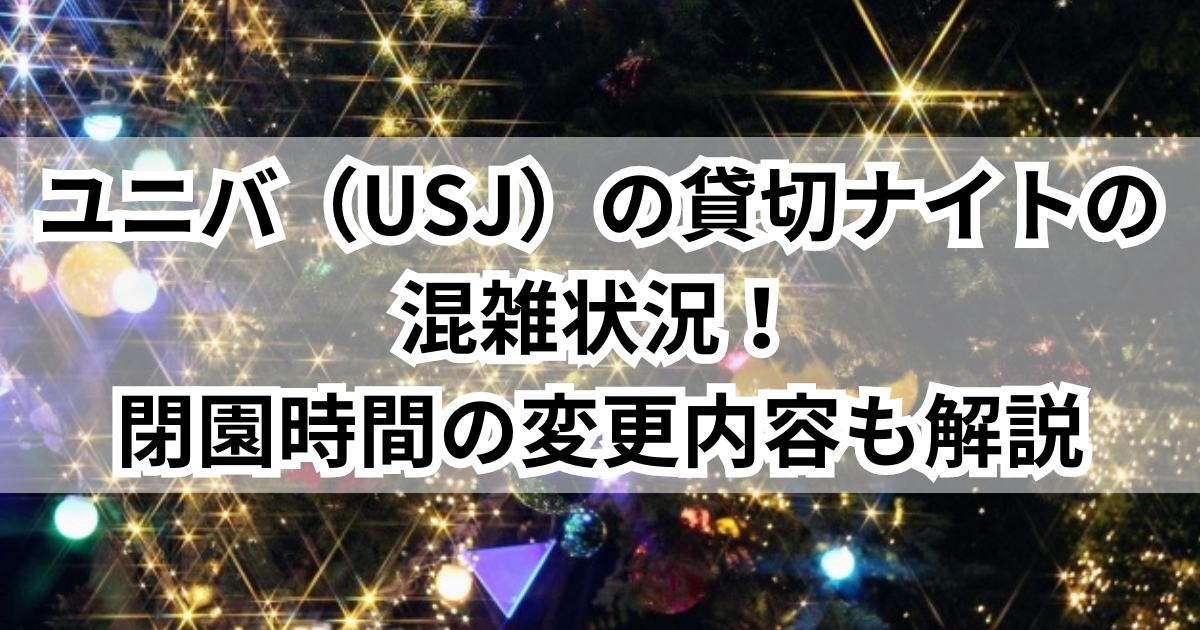 ユニバーサル・スタジオ・ジャパン 入場券 2名分貸切ナイト2024年11月 