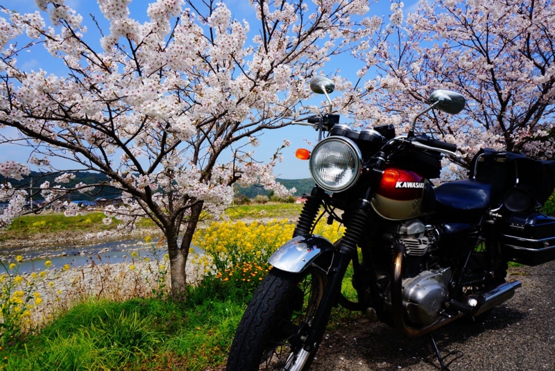 f:id:makura916:20130404205818j:image f:id:makura916:20130404205818j:image