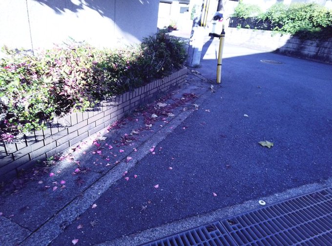 f:id:makuragirui:20210101134258j:plain