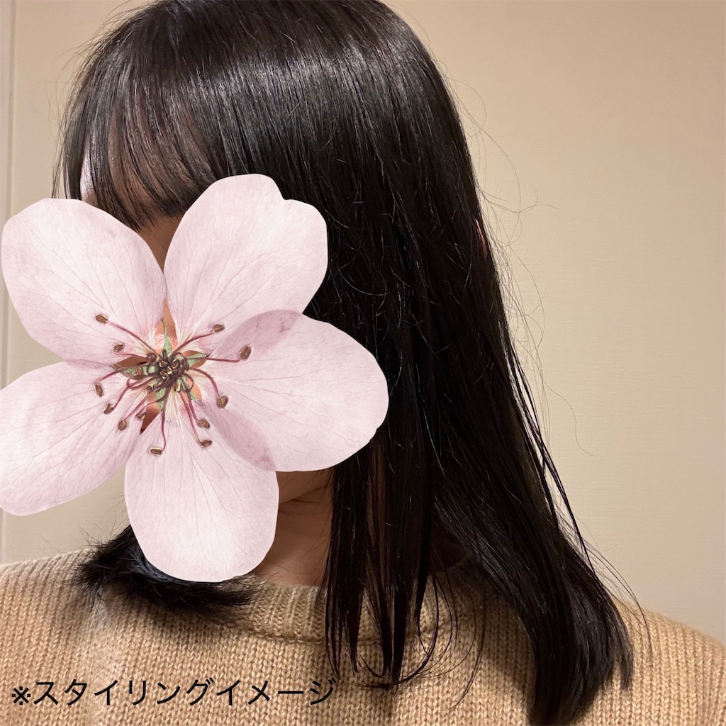f:id:makyu1010:20250327212239j:image f:id:makyu1010:20250327212239j:image