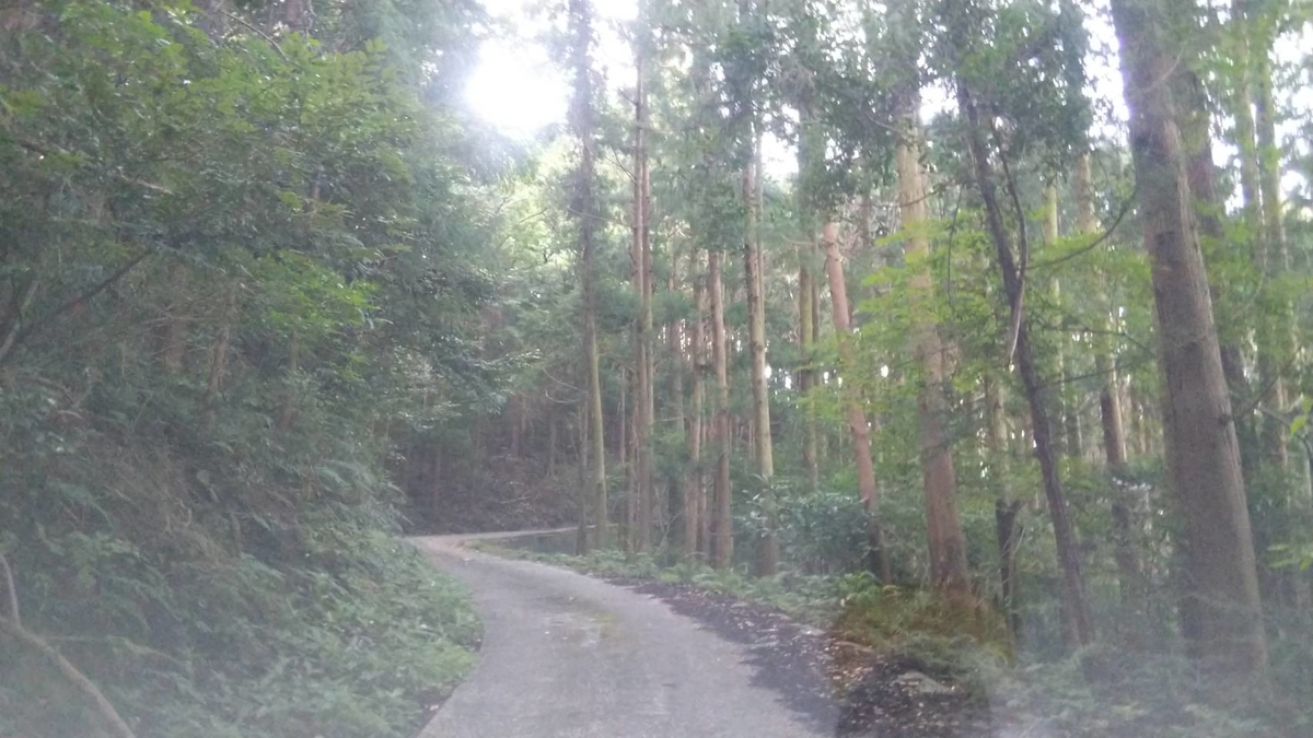 f:id:malaixiong:20200902203729j:plain