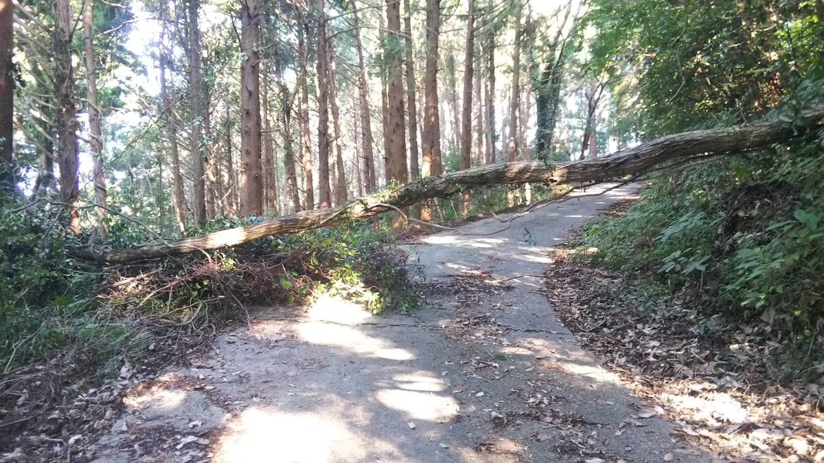 f:id:malaixiong:20200902211431j:plain