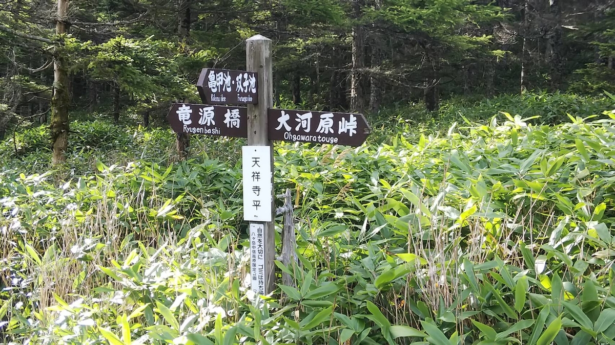f:id:malaixiong:20200929225718j:plain