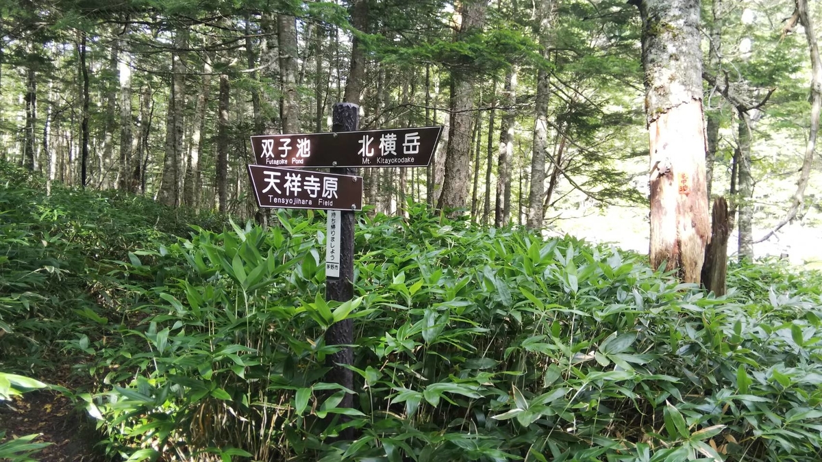 f:id:malaixiong:20200929225950j:plain
