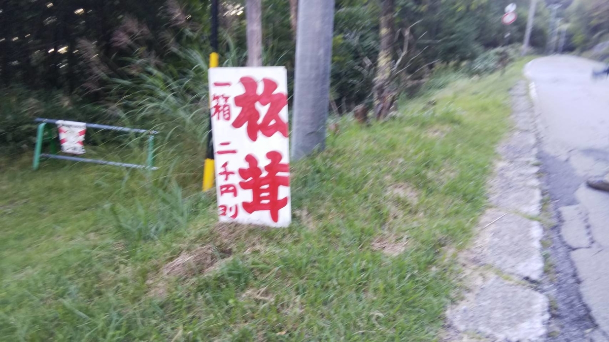 f:id:malaixiong:20200929232155j:plain