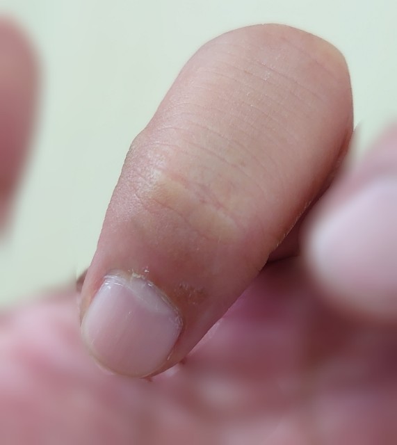 f:id:malamili:20210823115850j:image