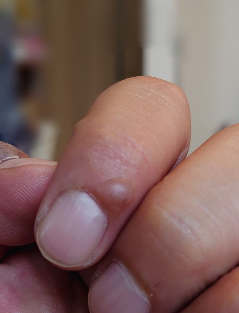 f:id:malamili:20210918154701j:image