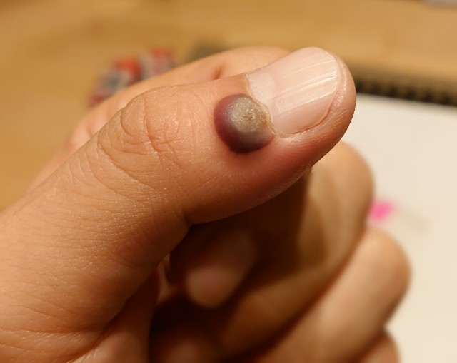 f:id:malamili:20210920124959j:image