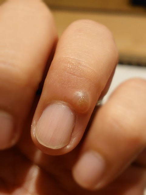 f:id:malamili:20210920125035j:image