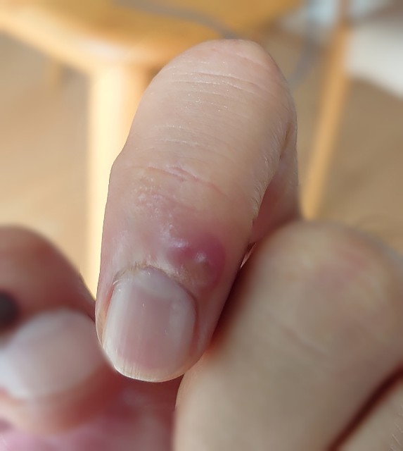 f:id:malamili:20210927145700j:image