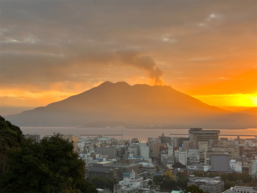f:id:malaysiaijyuu:20231122183256j:image f:id:malaysiaijyuu:20231122183256j:image