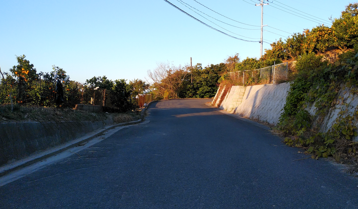 f:id:malco0214:20211122233651p:plain