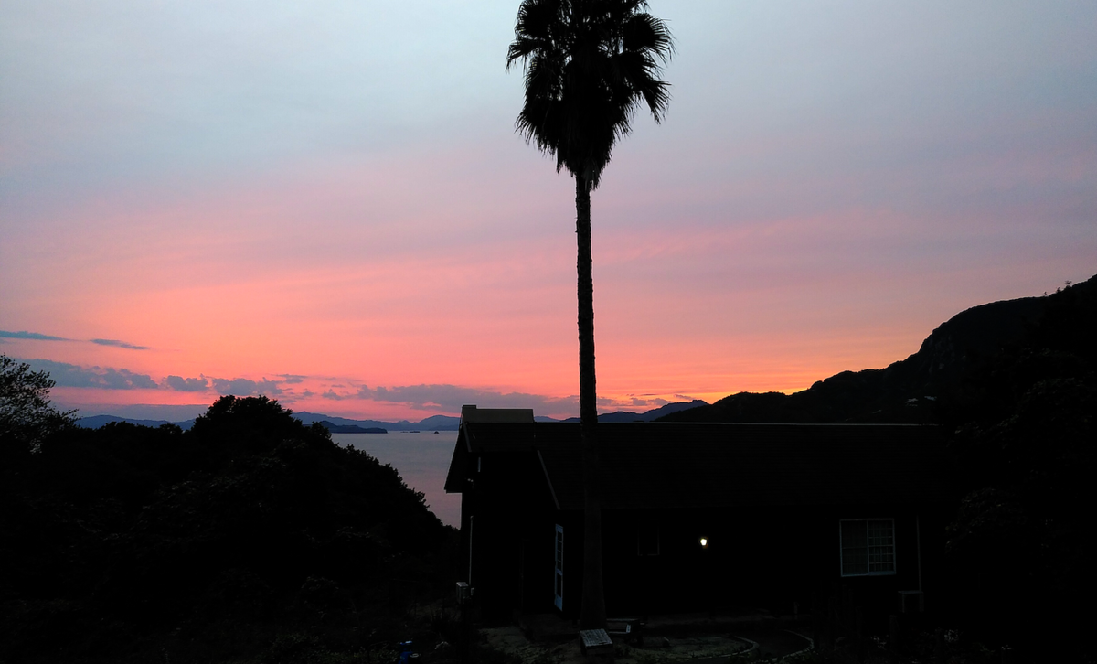 f:id:malco0214:20211122234419p:plain