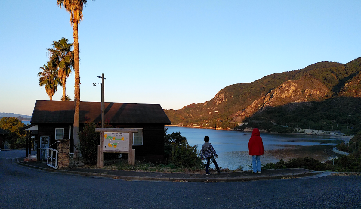 f:id:malco0214:20211122235323p:plain