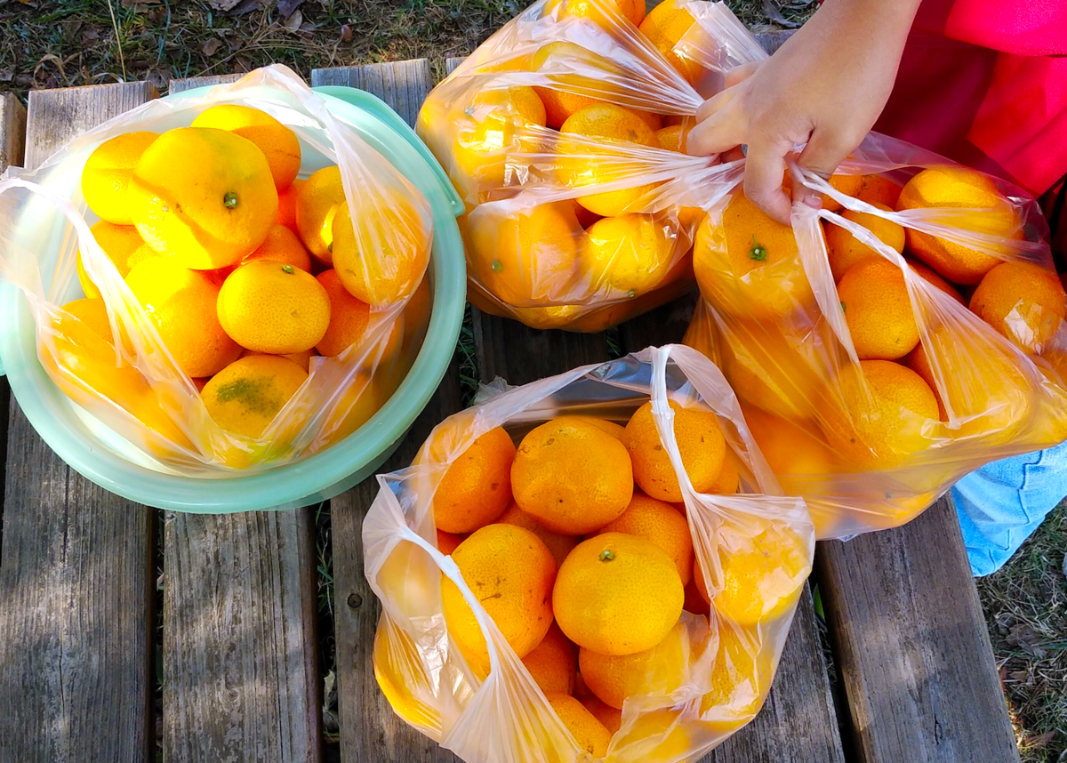 f:id:malco0214:20211123000356p:plain