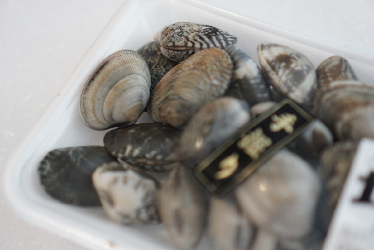 f:id:maldon:20191211211507j:plain