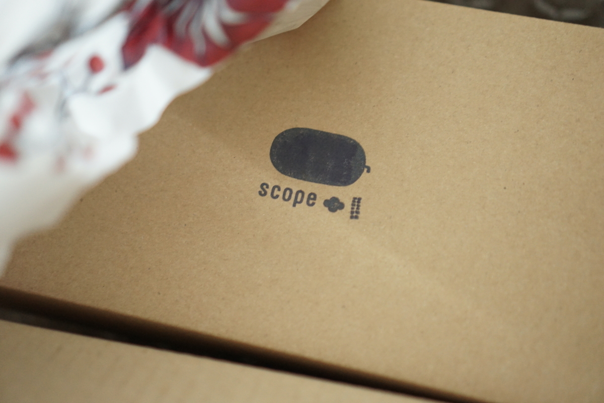 f:id:maldon:20210209182516j:plain