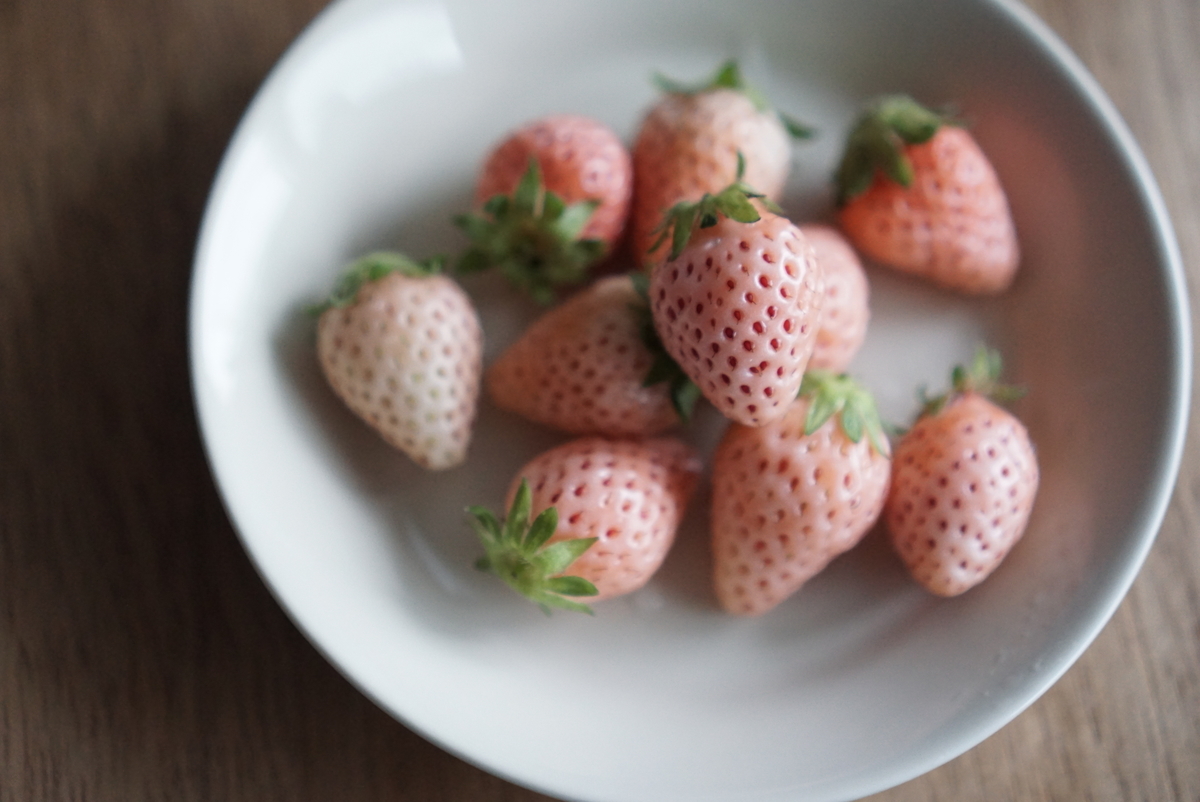 f:id:maldon:20210325005142j:plain