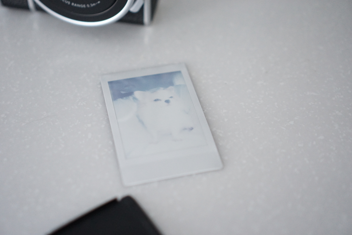 f:id:maldon:20211231224435j:plain