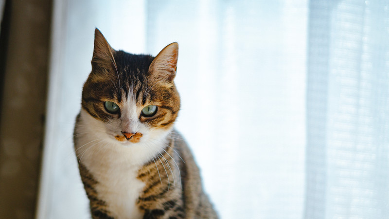 死ぬほど嫌いな人がいる時の対処法 嫌な出来事と縁切りするblog