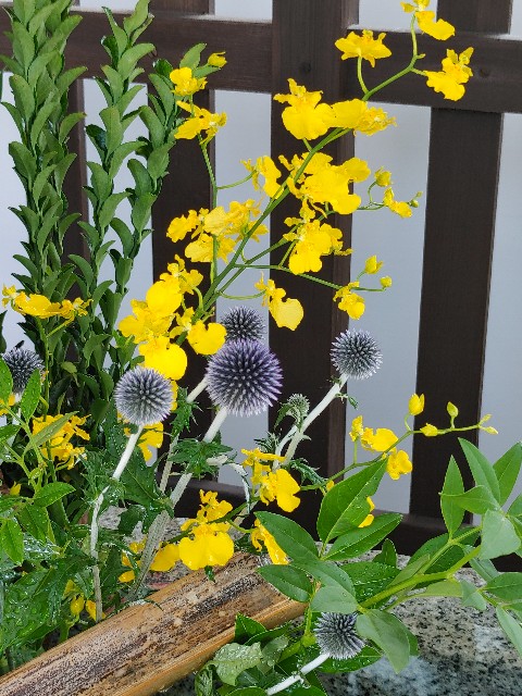 神戸北野天満神社 7月 茅の輪くぐり と 御朱印 心豊かに過ごせる時間