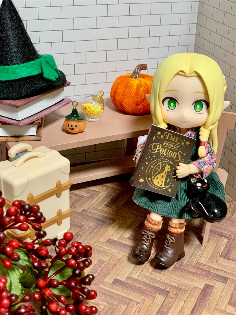 f:id:malmk:20241029215630j:image