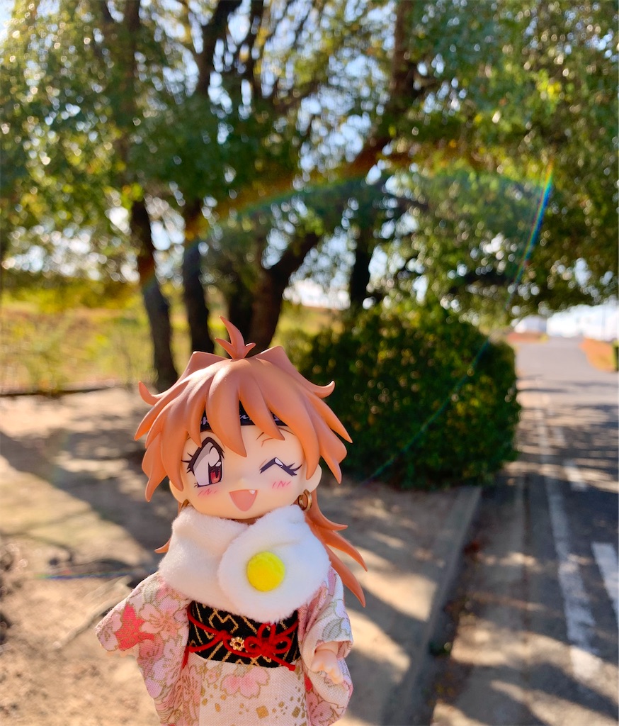 f:id:malmk:20250103064100j:image