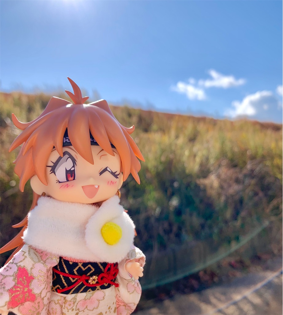 f:id:malmk:20250103064129j:image