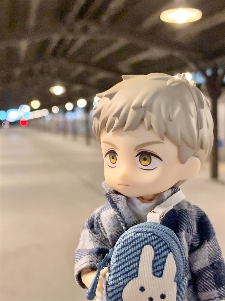 f:id:malmk:20250125084518j:image