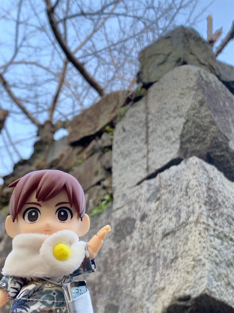 f:id:malmk:20250125113227j:image