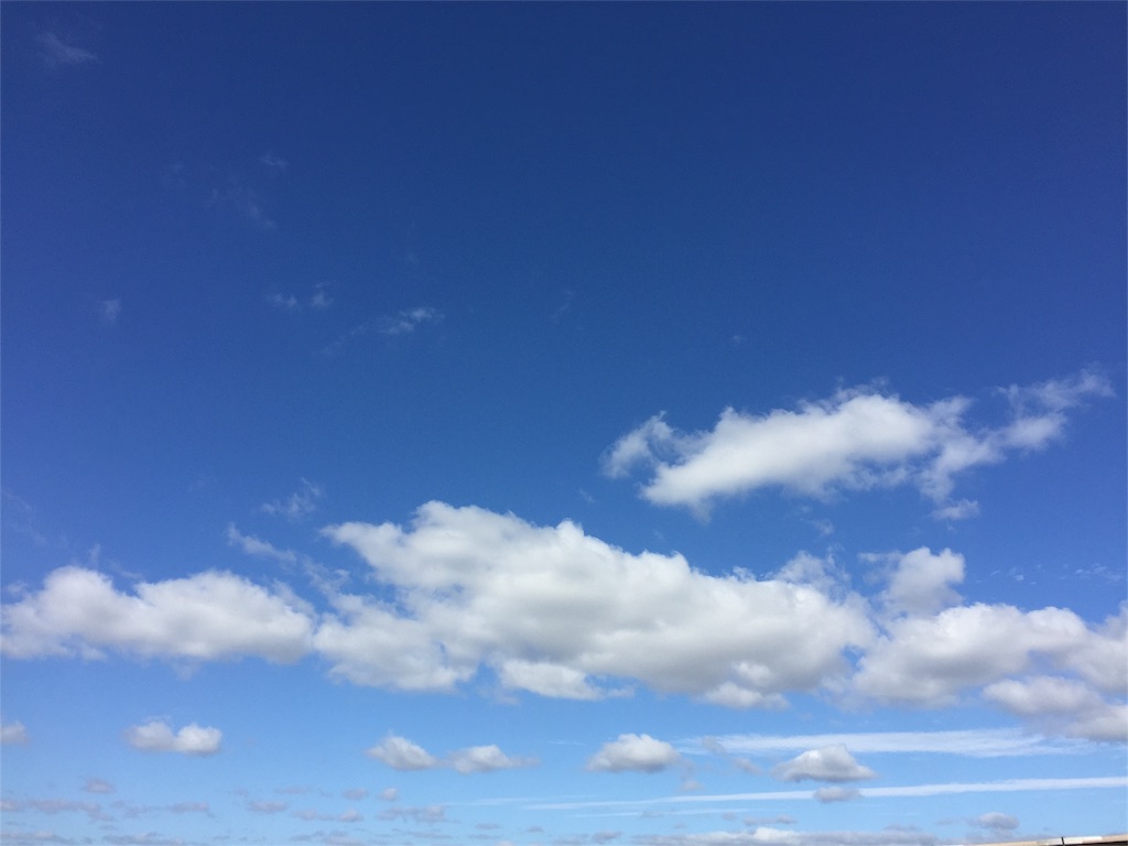 f:id:malstrail:20161012005232j:image f:id:malstrail:20161012005232j:image