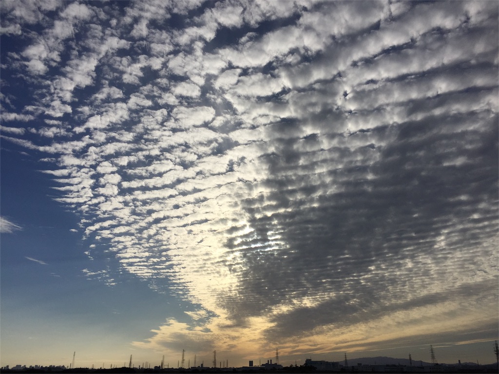 f:id:malstrail:20161012005359j:image f:id:malstrail:20161012005359j:image