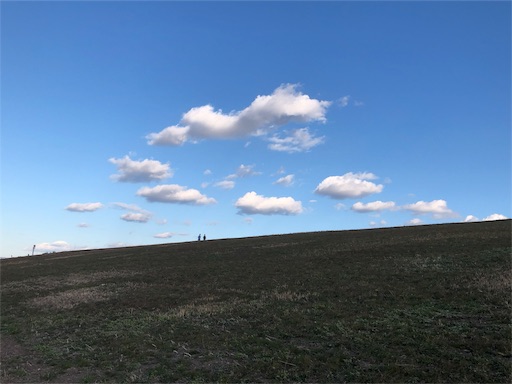 f:id:malstrail:20190118202900j:image f:id:malstrail:20190118202900j:image