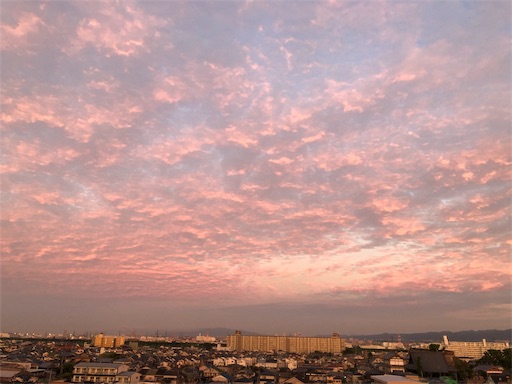 f:id:malstrail:20190914114743j:image f:id:malstrail:20190914114743j:image