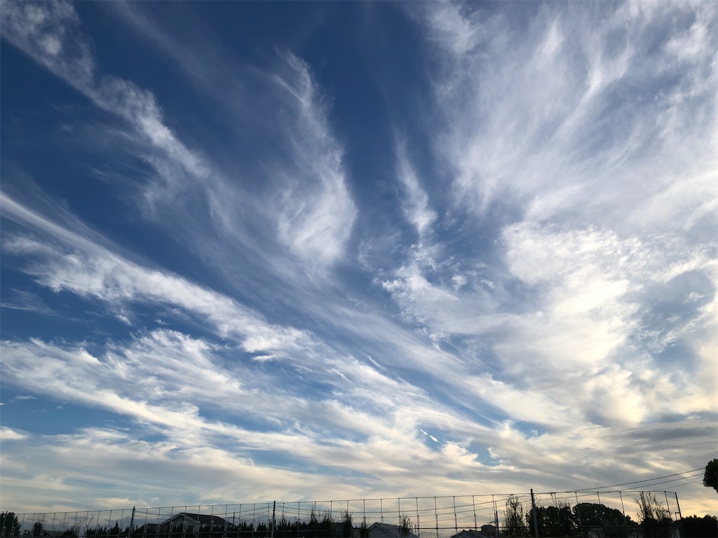 f:id:malstrail:20220820151750j:image f:id:malstrail:20220820151750j:image