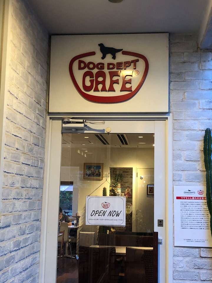 Dog Dept Cafe 玉川店でお誕生日祝い マルチーズ 珀 の日常