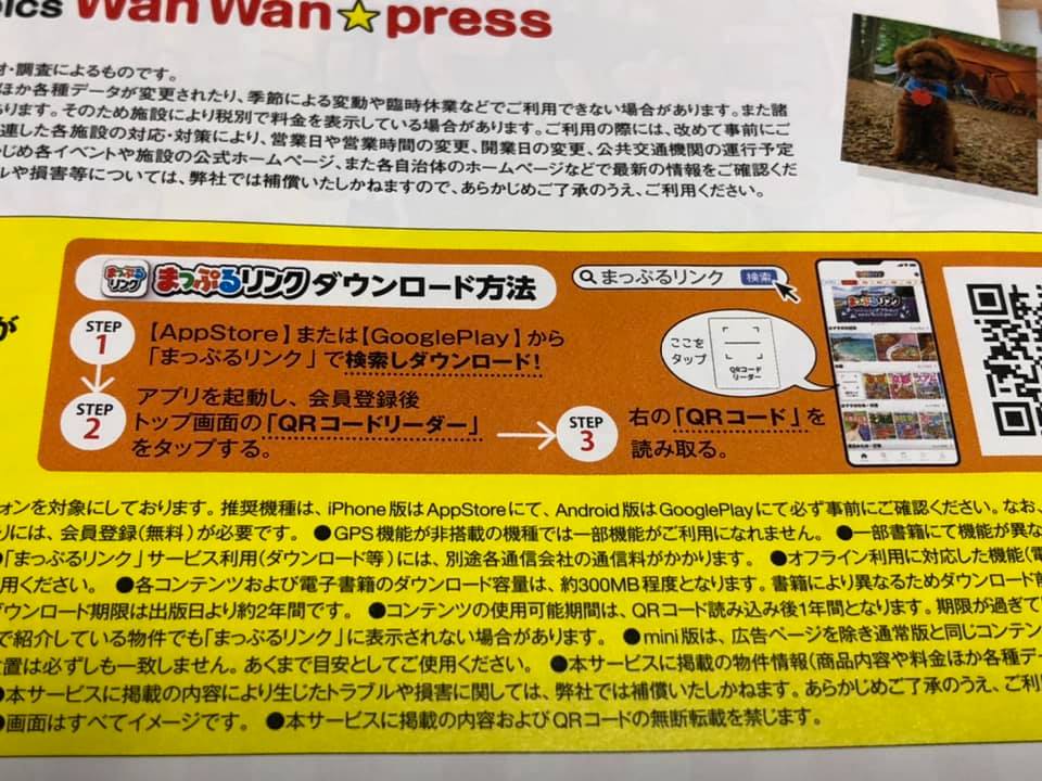 ステイホームで旅行を楽しむ マルチーズ 珀 の日常