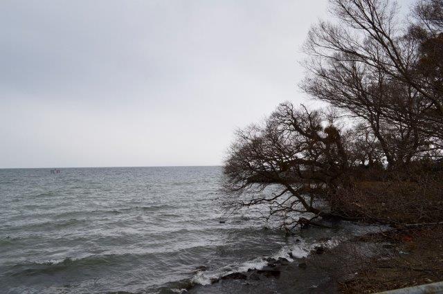 f:id:maltsutyan1235:20191026000836j:plain f:id:maltsutyan1235:20191026000836j:plain