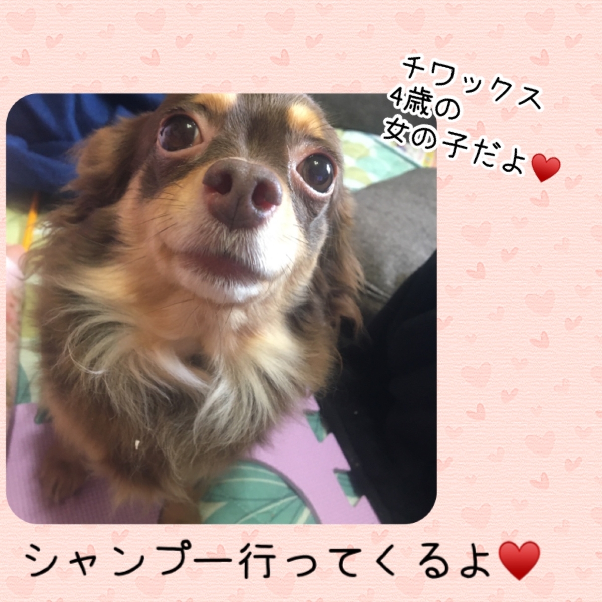 f:id:mam0223:20211127071929j:plain