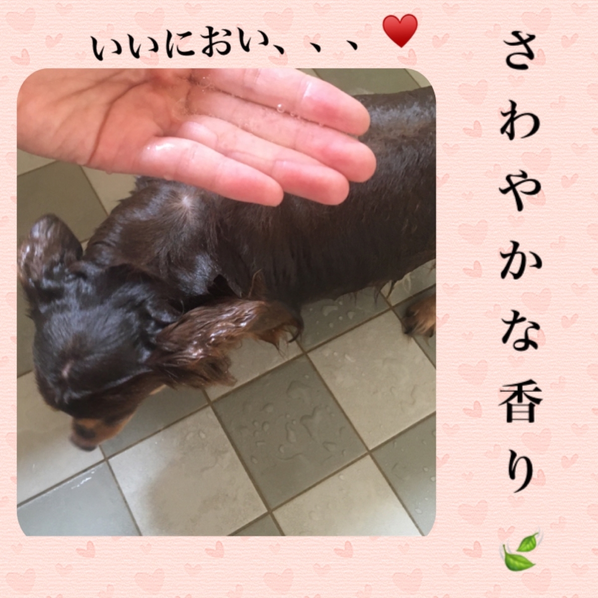 f:id:mam0223:20211127072049j:plain