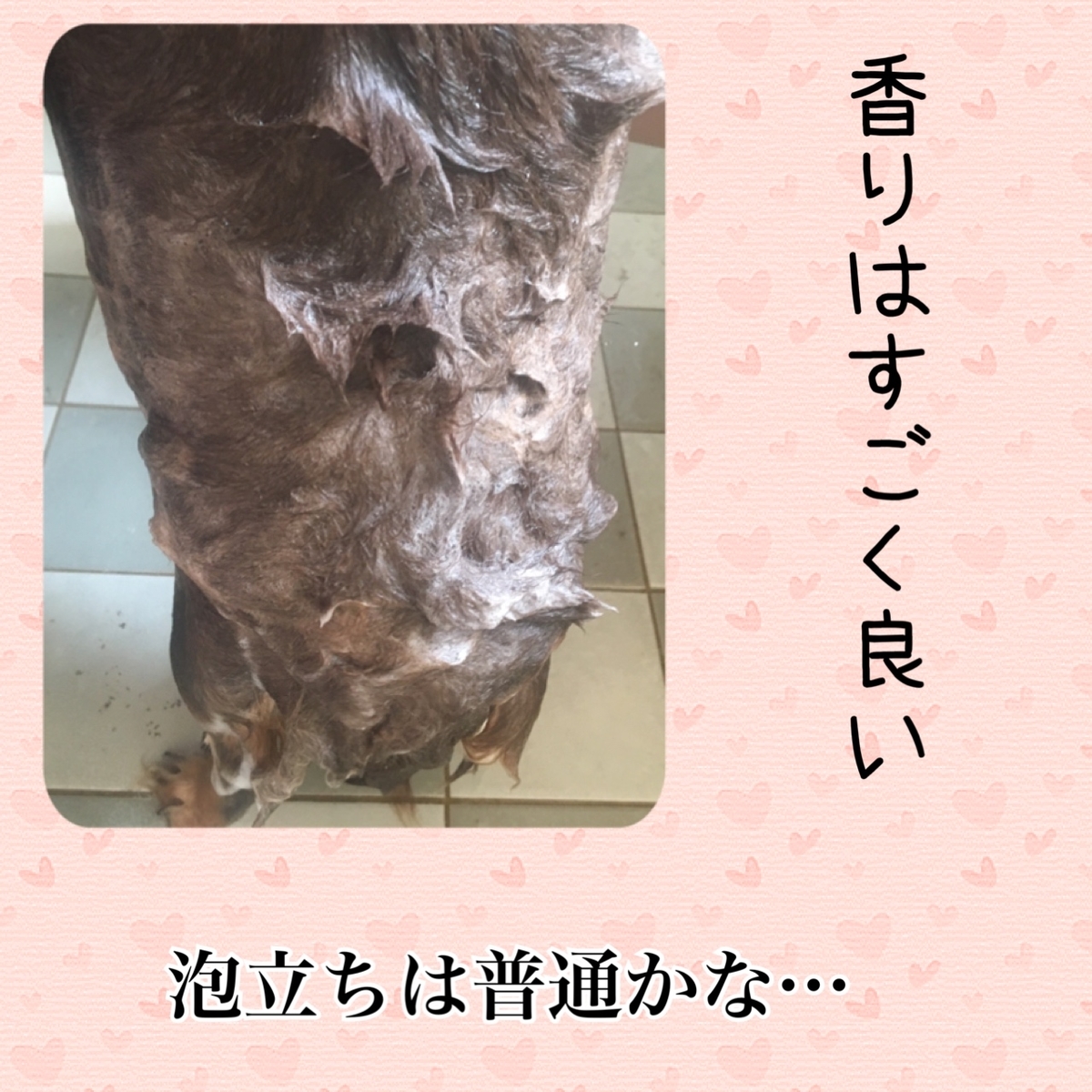 f:id:mam0223:20211127072204j:plain