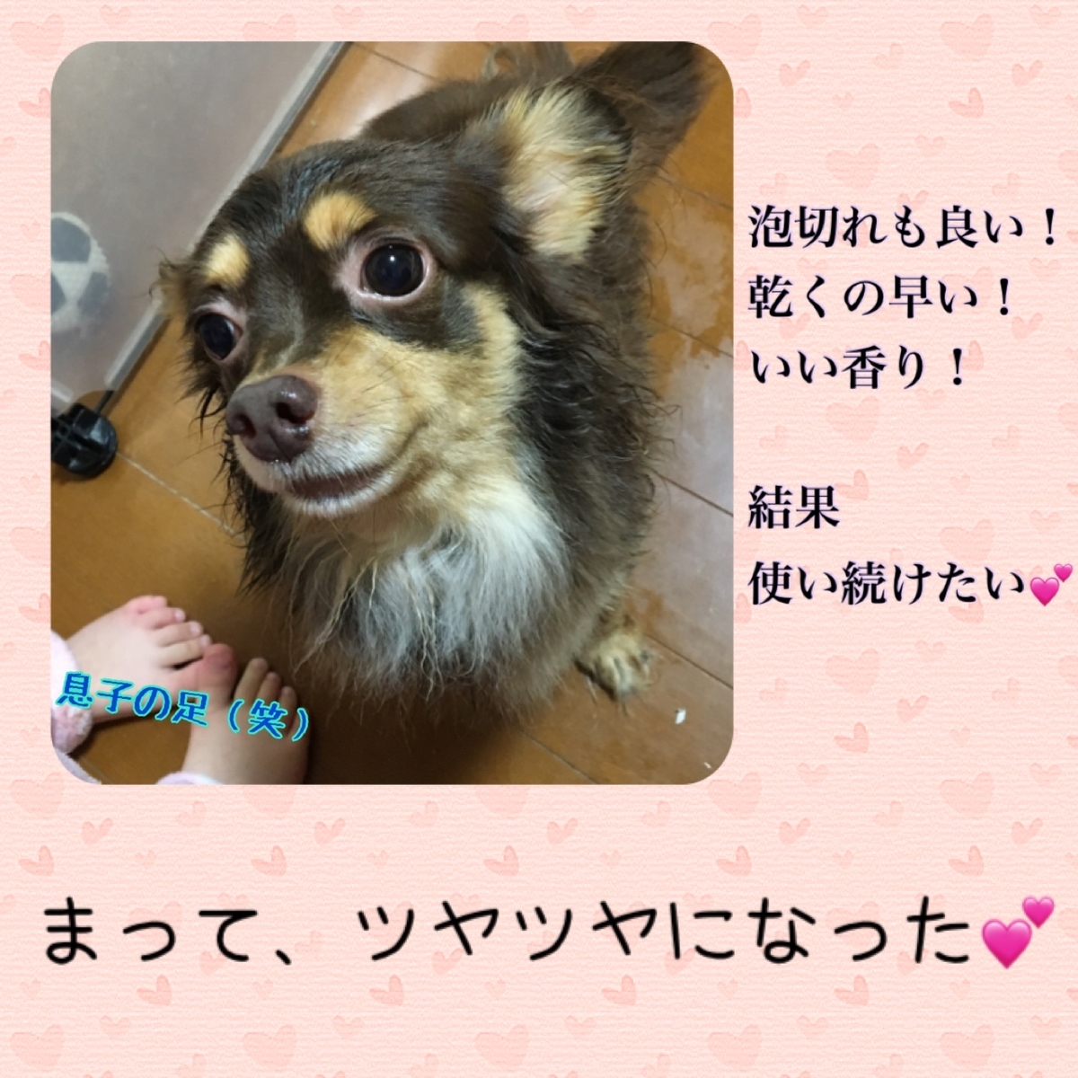 f:id:mam0223:20211127072336j:plain