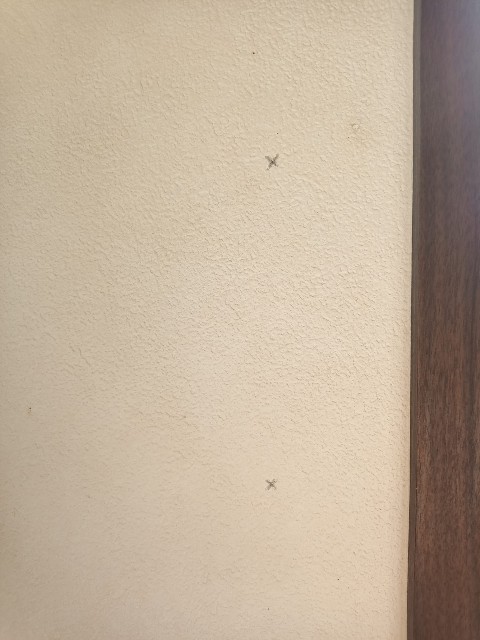 f:id:mama-asobitai:20220124200516j:image