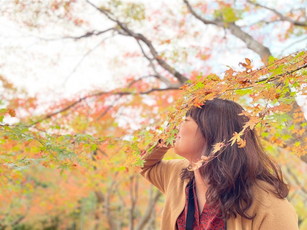 f:id:mama-erika-fwfw:20201126191120j:image f:id:mama-erika-fwfw:20201126191120j:image