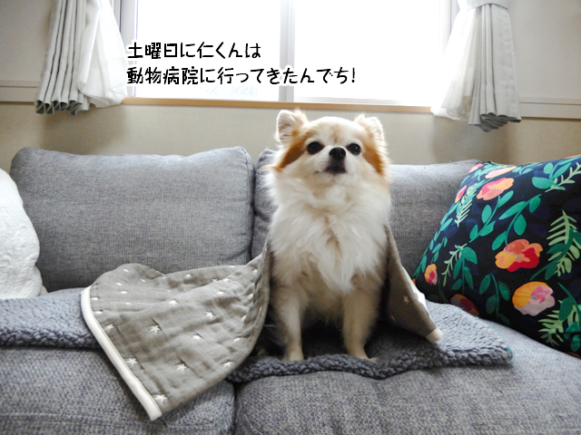 f:id:mama-mamico:20190123114246j:plain f:id:mama-mamico:20190123114246j:plain